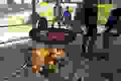 1000013532